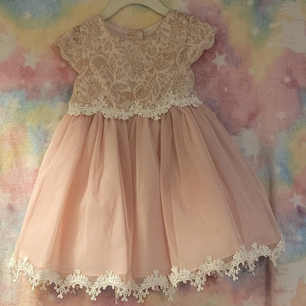 Toddler Special Occasion Dress NWOT